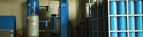 الاستدامة البيئية